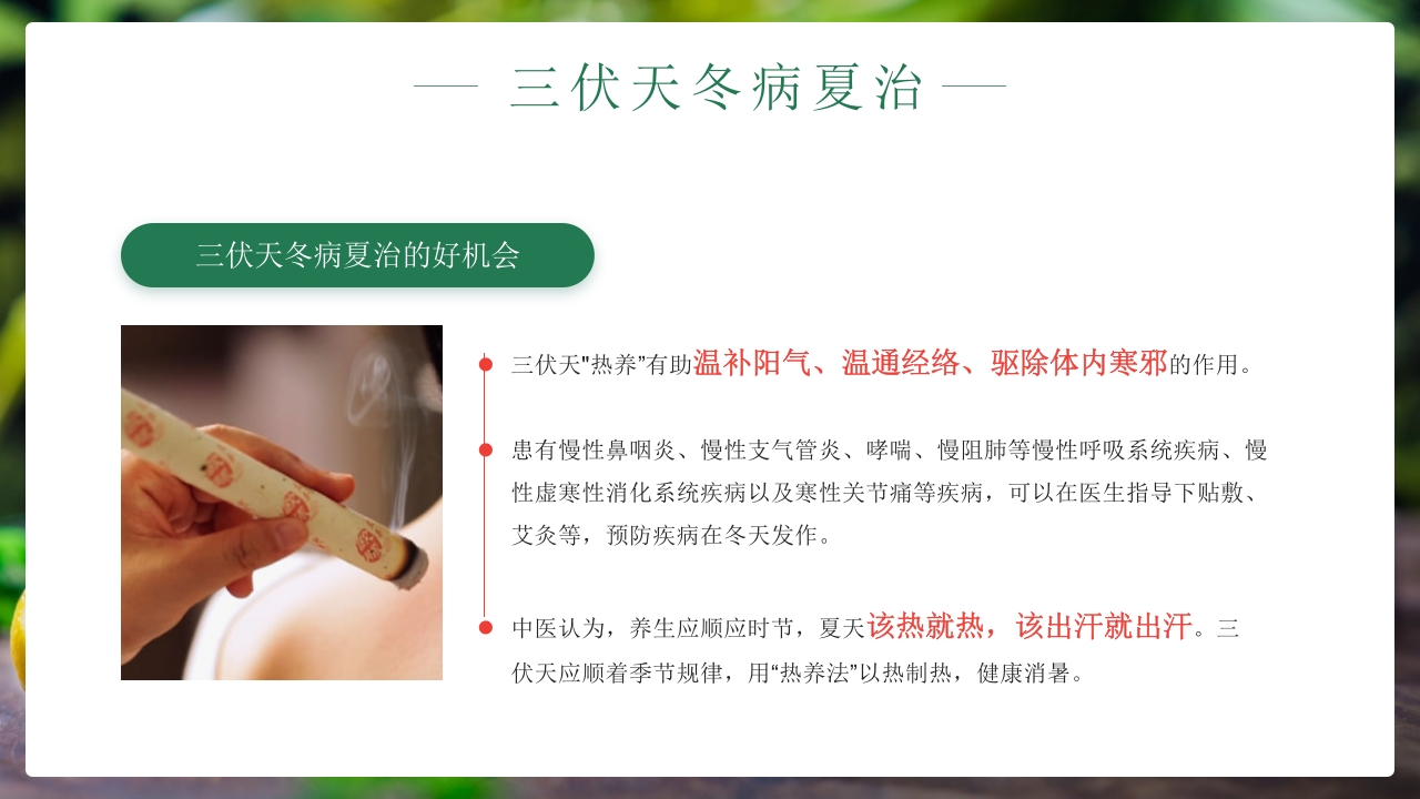 二十四节气之初伏传统文化介绍PPT课件13