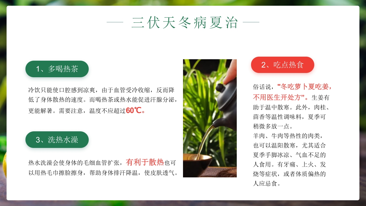 二十四节气之初伏传统文化介绍PPT课件14