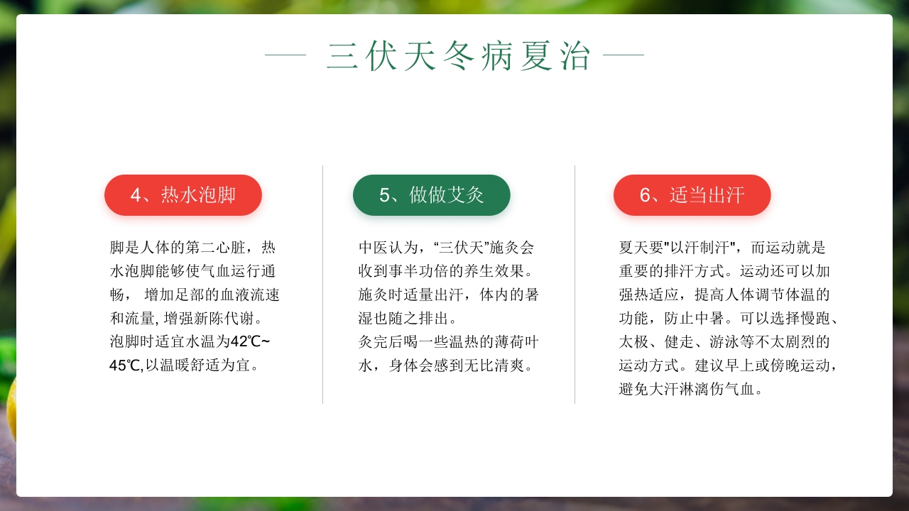 二十四节气之初伏传统文化介绍PPT课件15