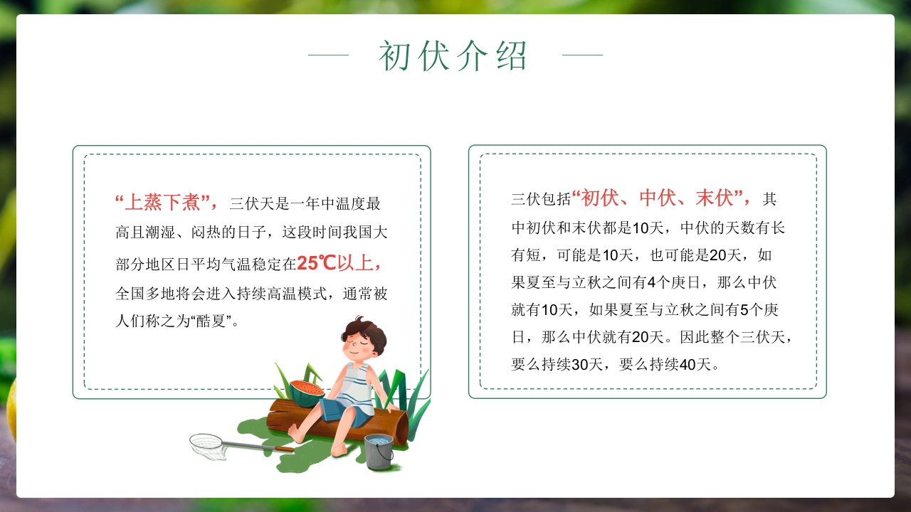 二十四节气之初伏传统文化介绍PPT课件5