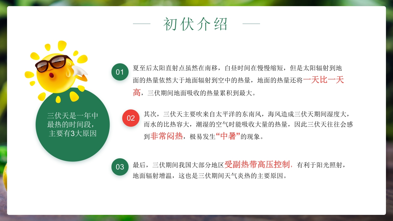 二十四节气之初伏传统文化介绍PPT课件6