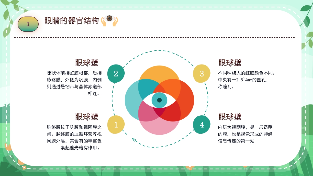 关爱眼睛用眼科普PPT课件11