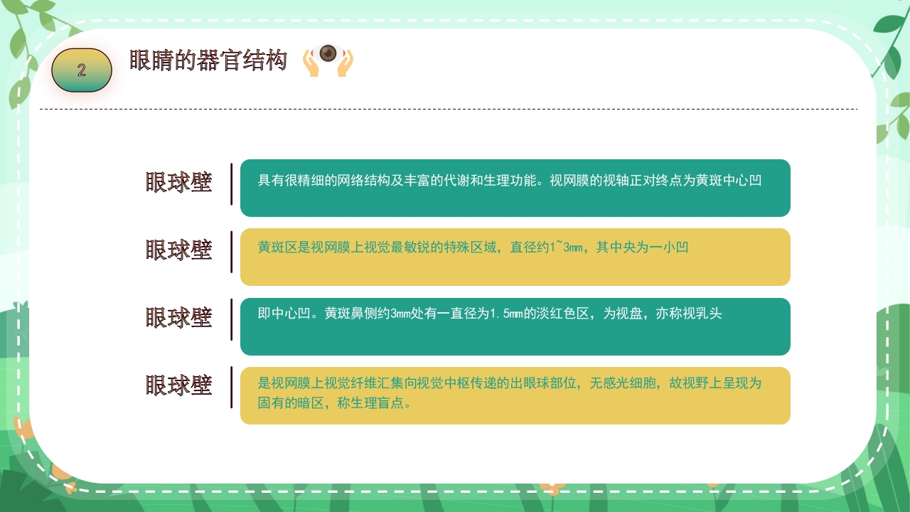 关爱眼睛用眼科普PPT课件12