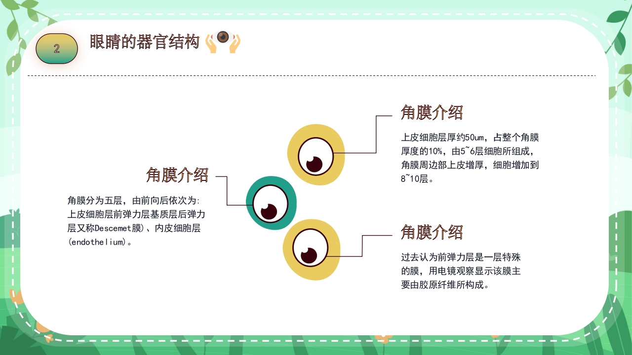 关爱眼睛用眼科普PPT课件13