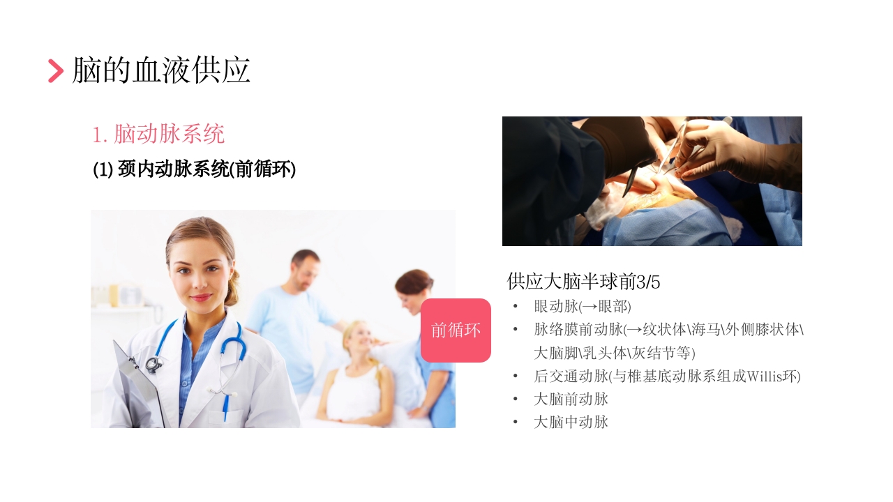 后循环缺血护理查房PPT课件12