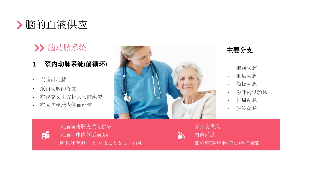 后循环缺血护理查房PPT课件13