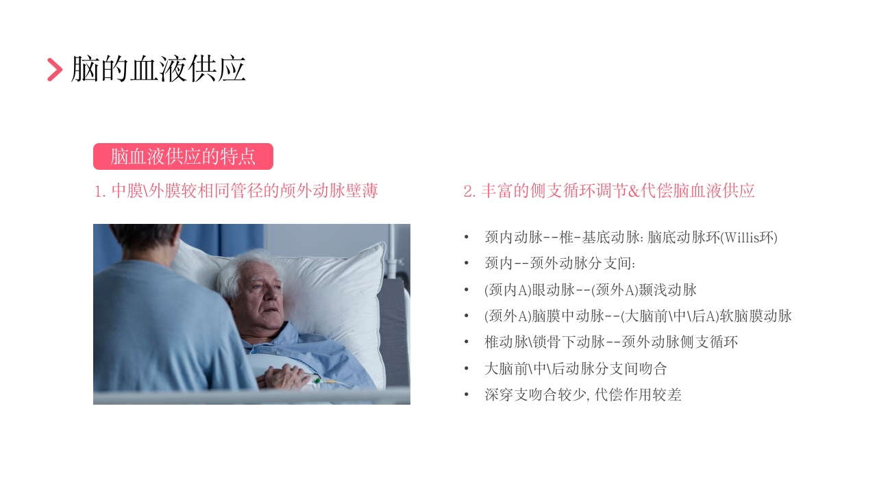 后循环缺血护理查房PPT课件16