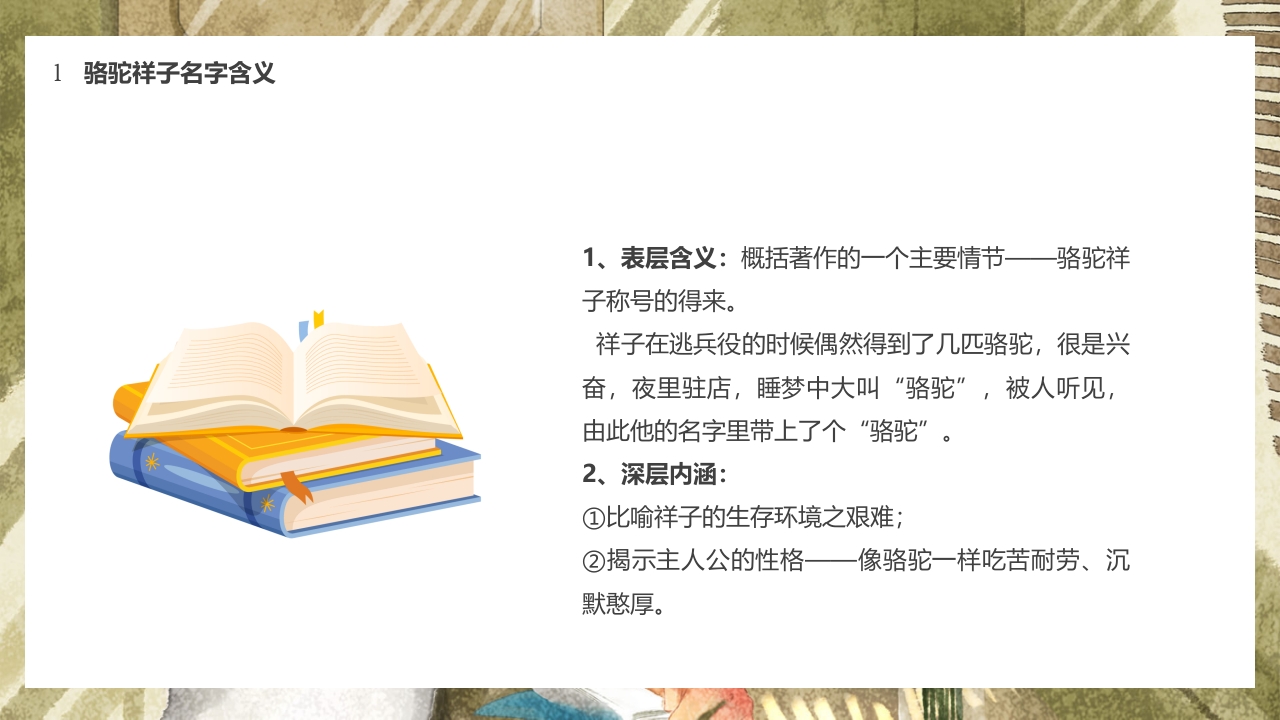 简约风好书分享推荐骆驼祥子PPT课件6