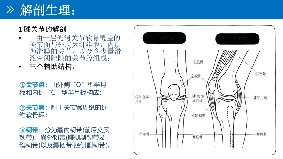 退行性膝关节病变PPT课件4