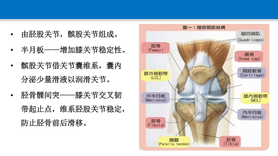 退行性膝关节病变PPT课件5
