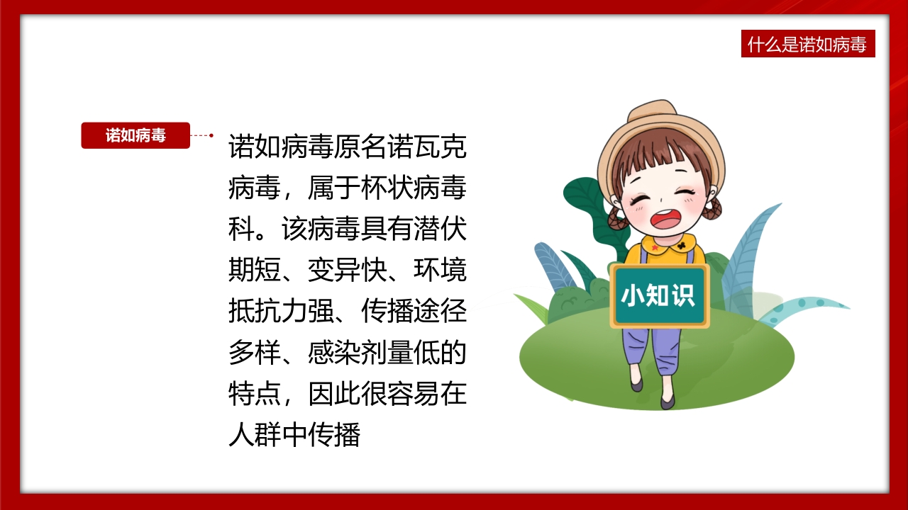 中小学预防诺如病毒主题班会PPT课件5