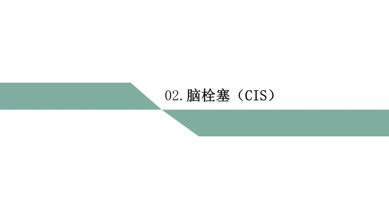 脑梗死PPT课件32