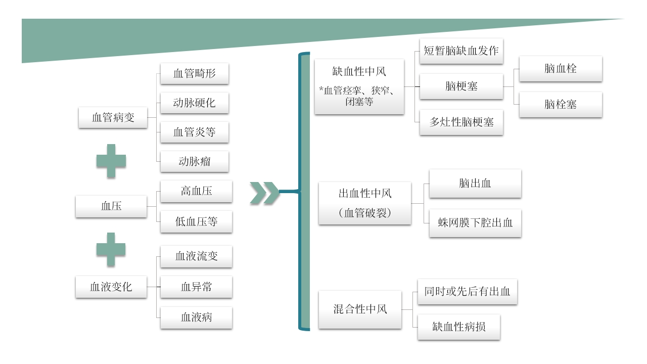脑梗死PPT课件9