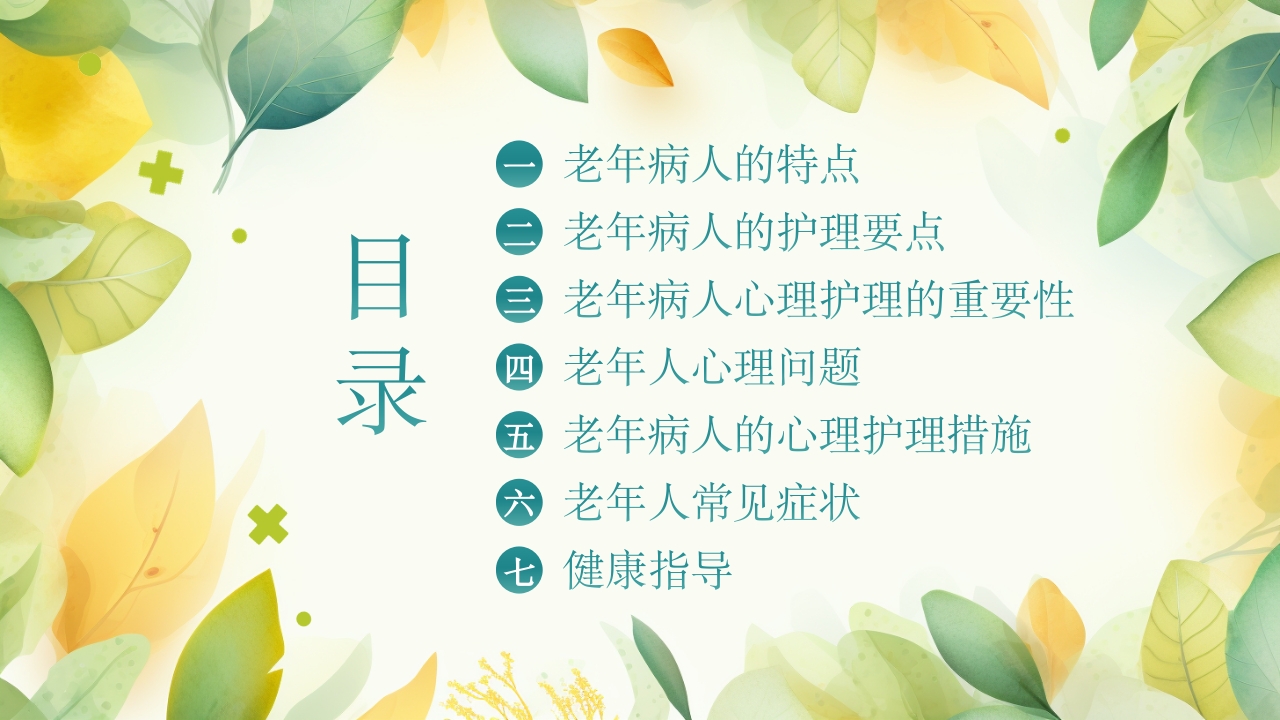 老年患者的护理PPT课件3