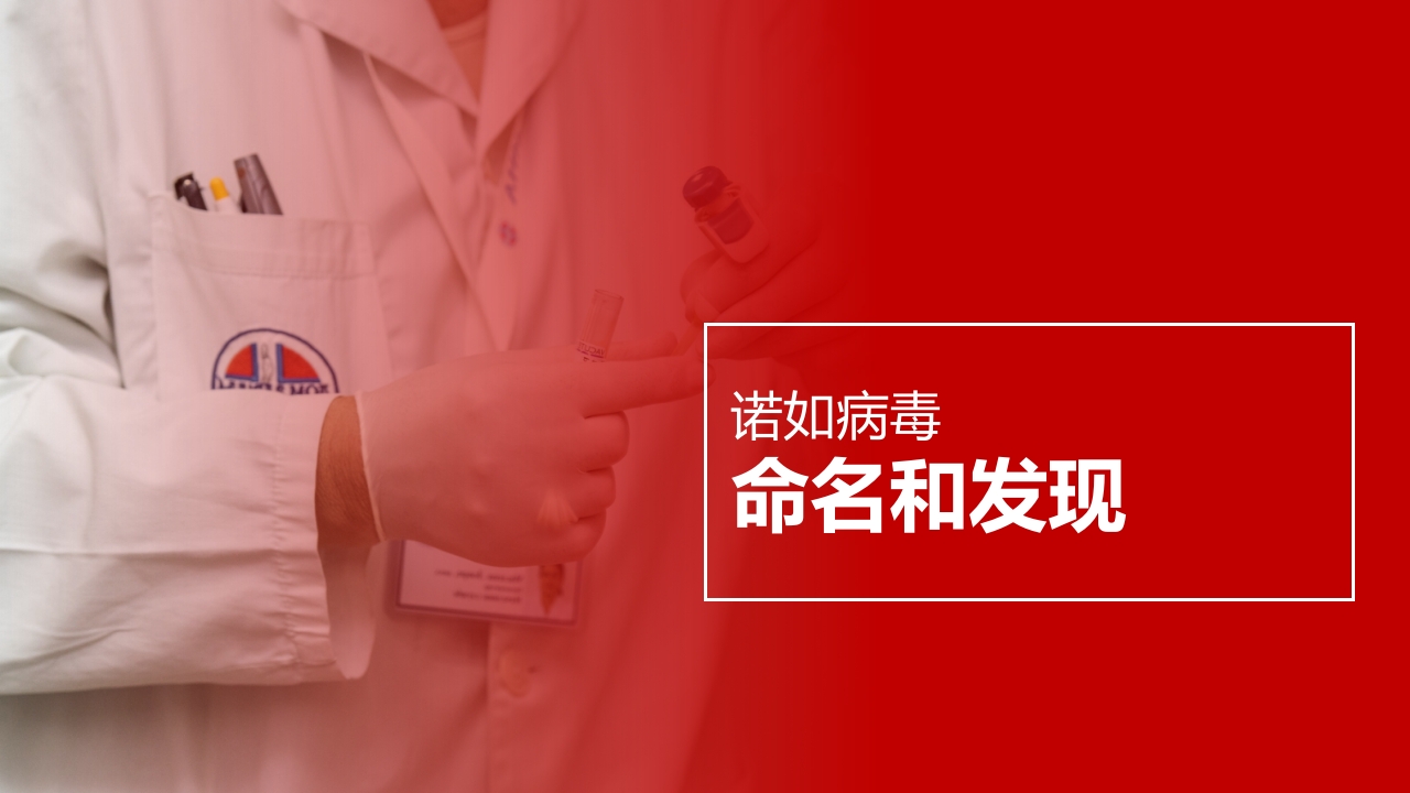 诺如病毒预防知识科普讲义PPT课件11