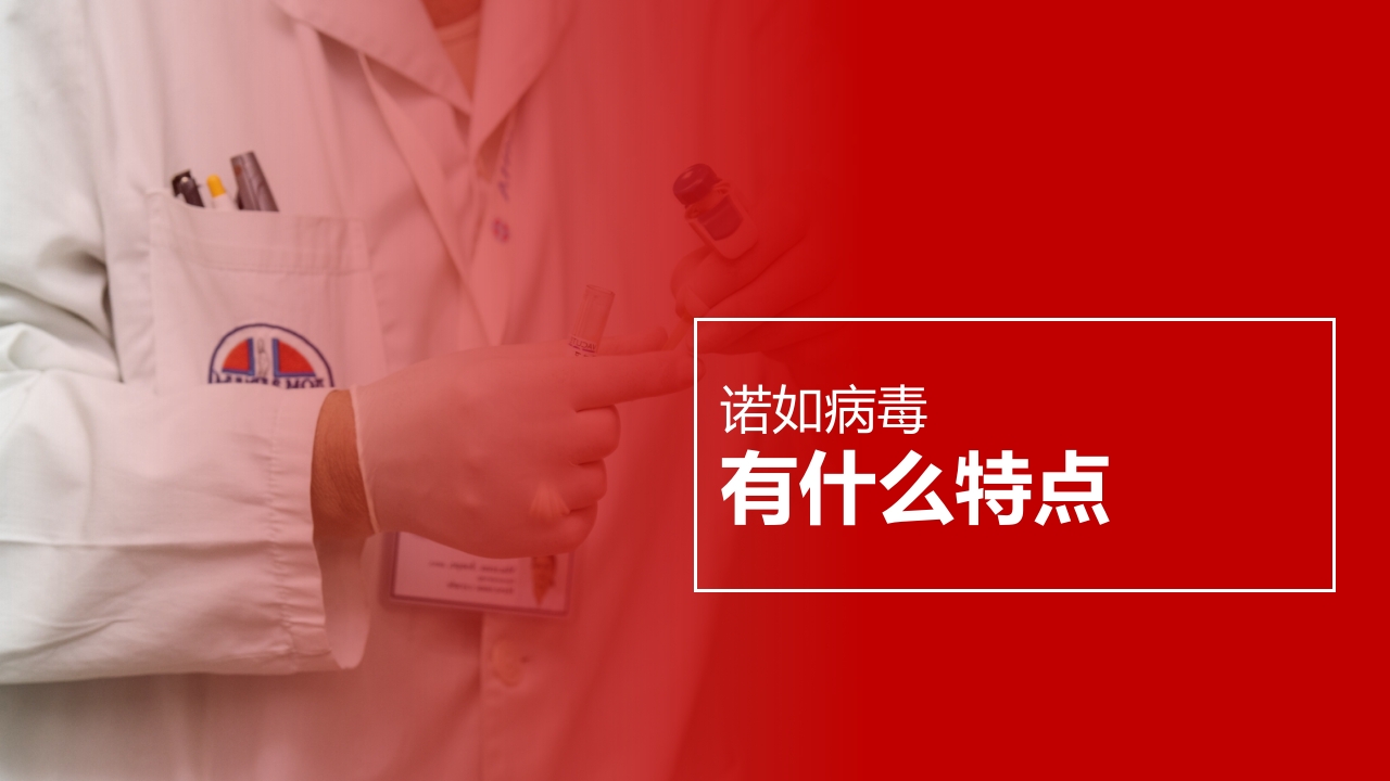 诺如病毒预防知识科普讲义PPT课件13