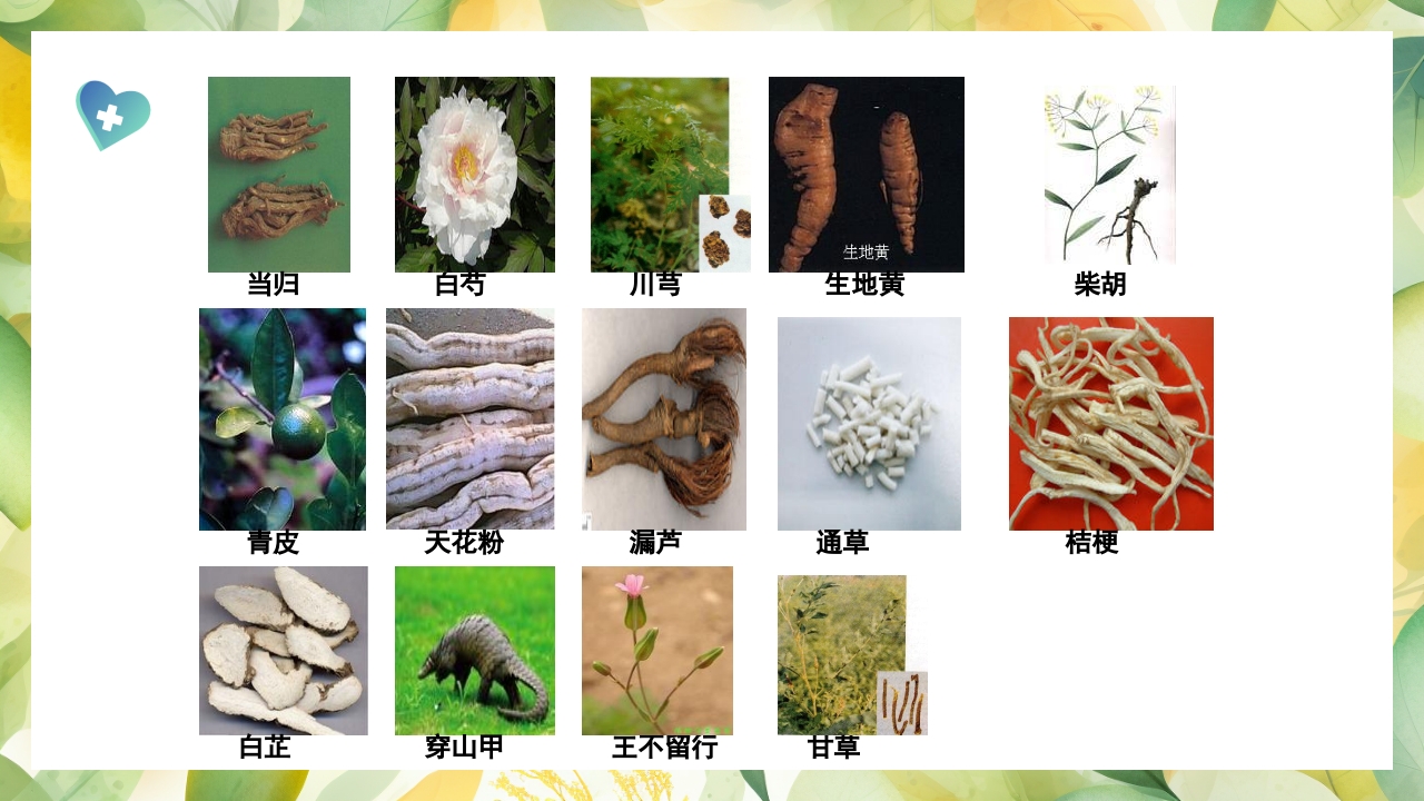 产后缺乳的中医疗法PPT课件21