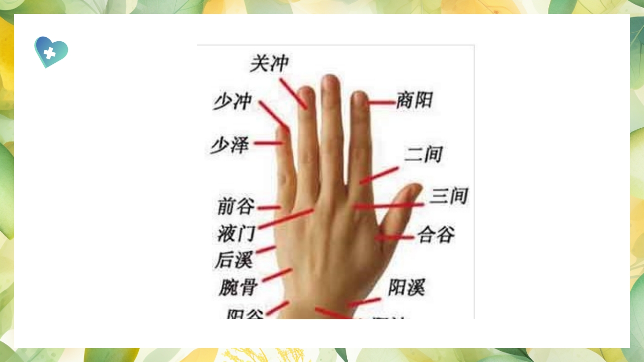 产后缺乳的中医疗法PPT课件25