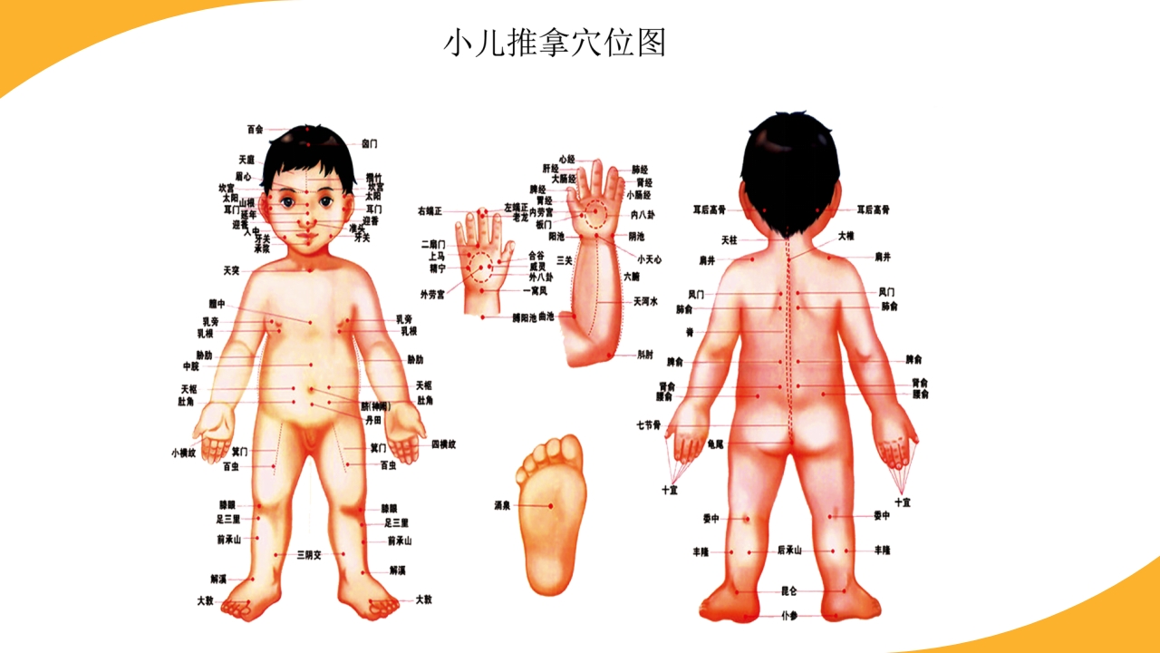 小儿常见穴位推拿培训PPT课件9