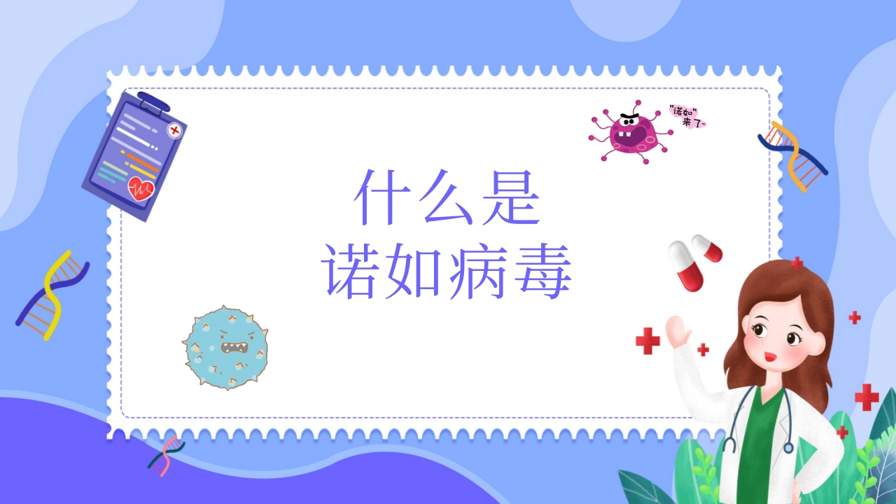 “今日科普”预防诺如病毒主题班会PPT4
