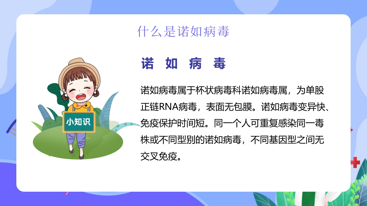 “今日科普”预防诺如病毒主题班会PPT5