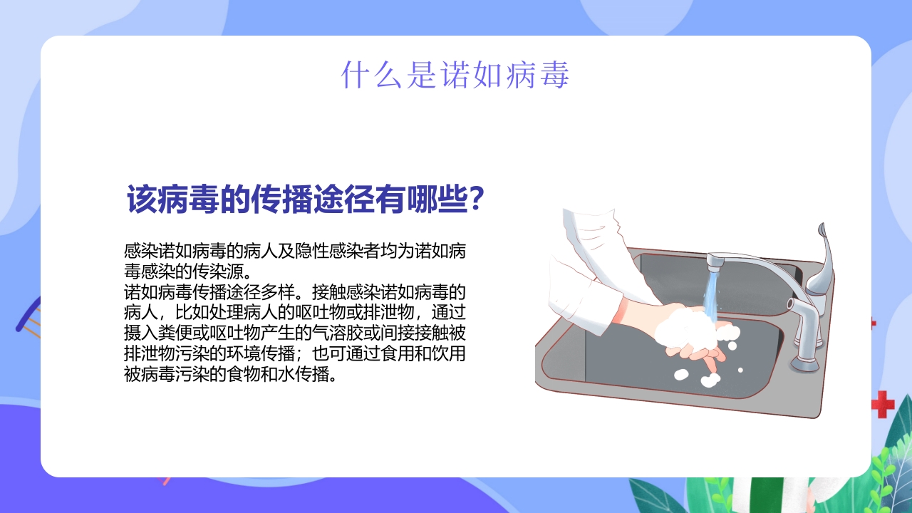 “今日科普”预防诺如病毒主题班会PPT7