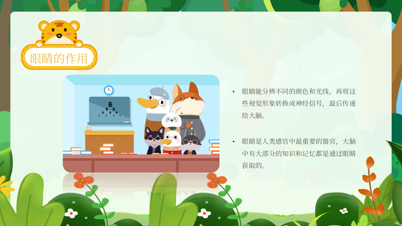 幼儿园保护眼睛预防近视主题班会PPT课件7