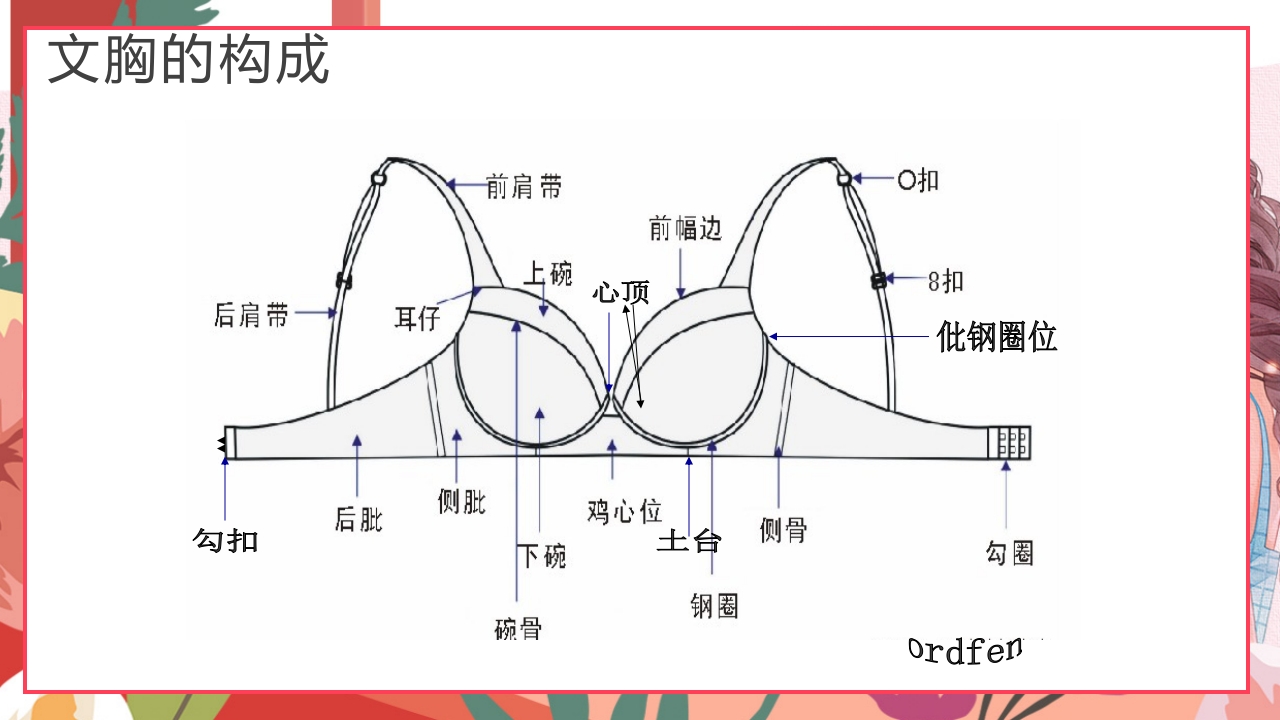 女性内衣基础知识培训PPT课件4