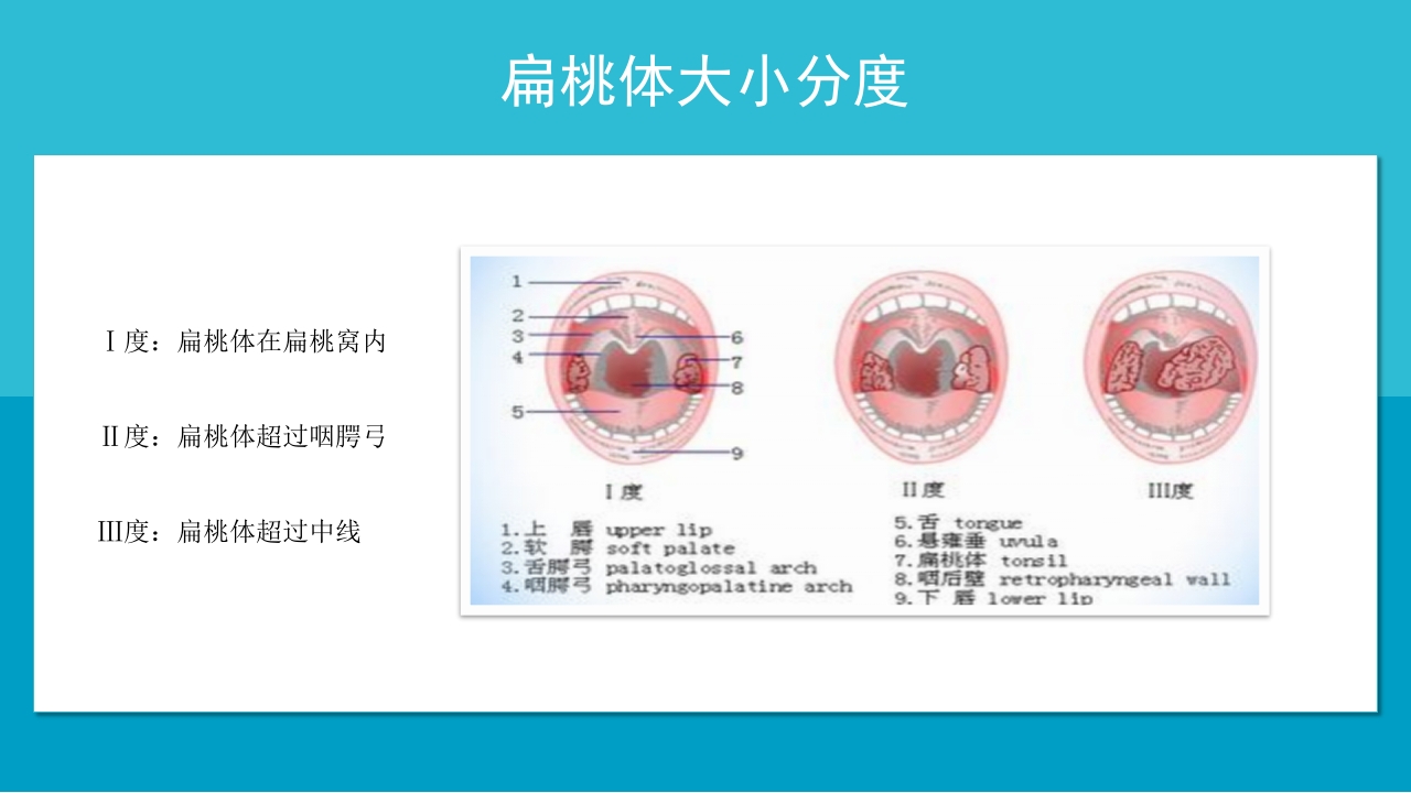 医疗耳鼻喉科护理查房PPT课件8