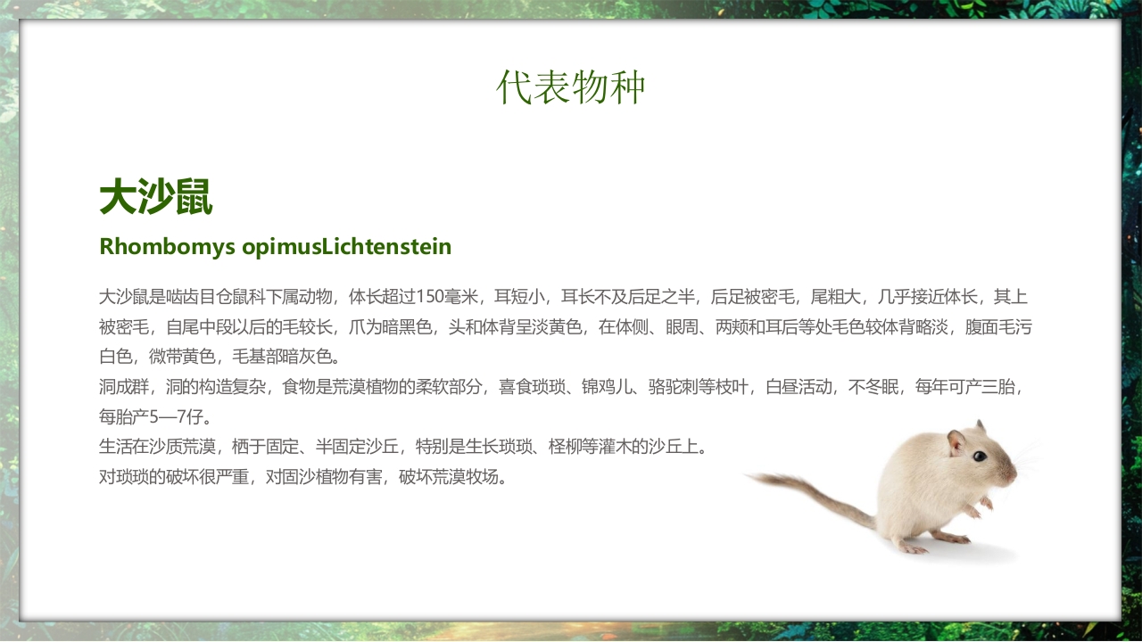 保护野生动物守护美丽家园PPT课件11