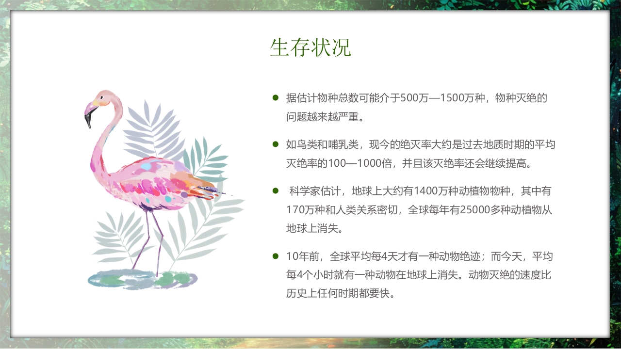 保护野生动物守护美丽家园PPT课件13