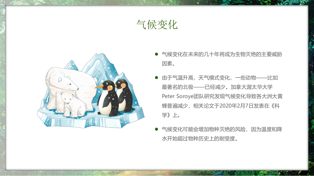 保护野生动物守护美丽家园PPT课件15