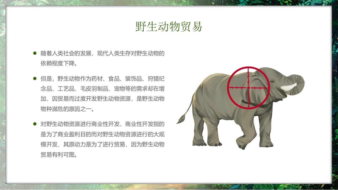 保护野生动物守护美丽家园PPT课件16