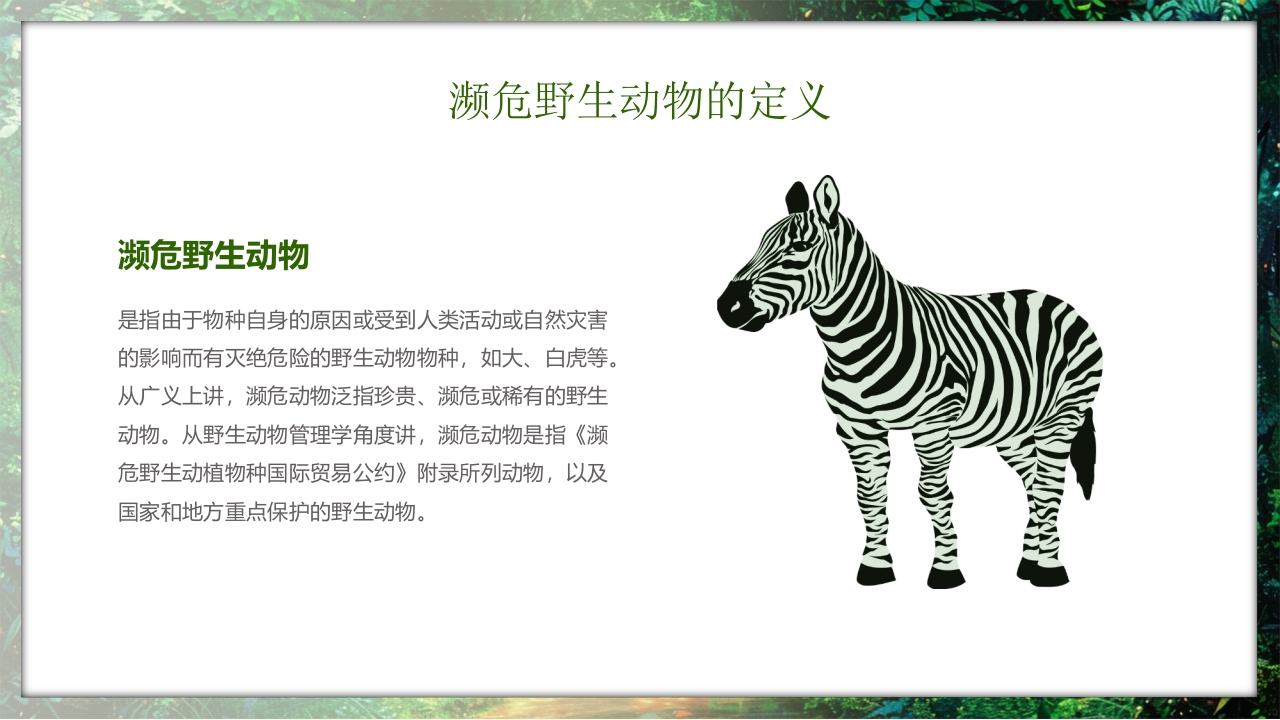 保护野生动物守护美丽家园PPT课件18