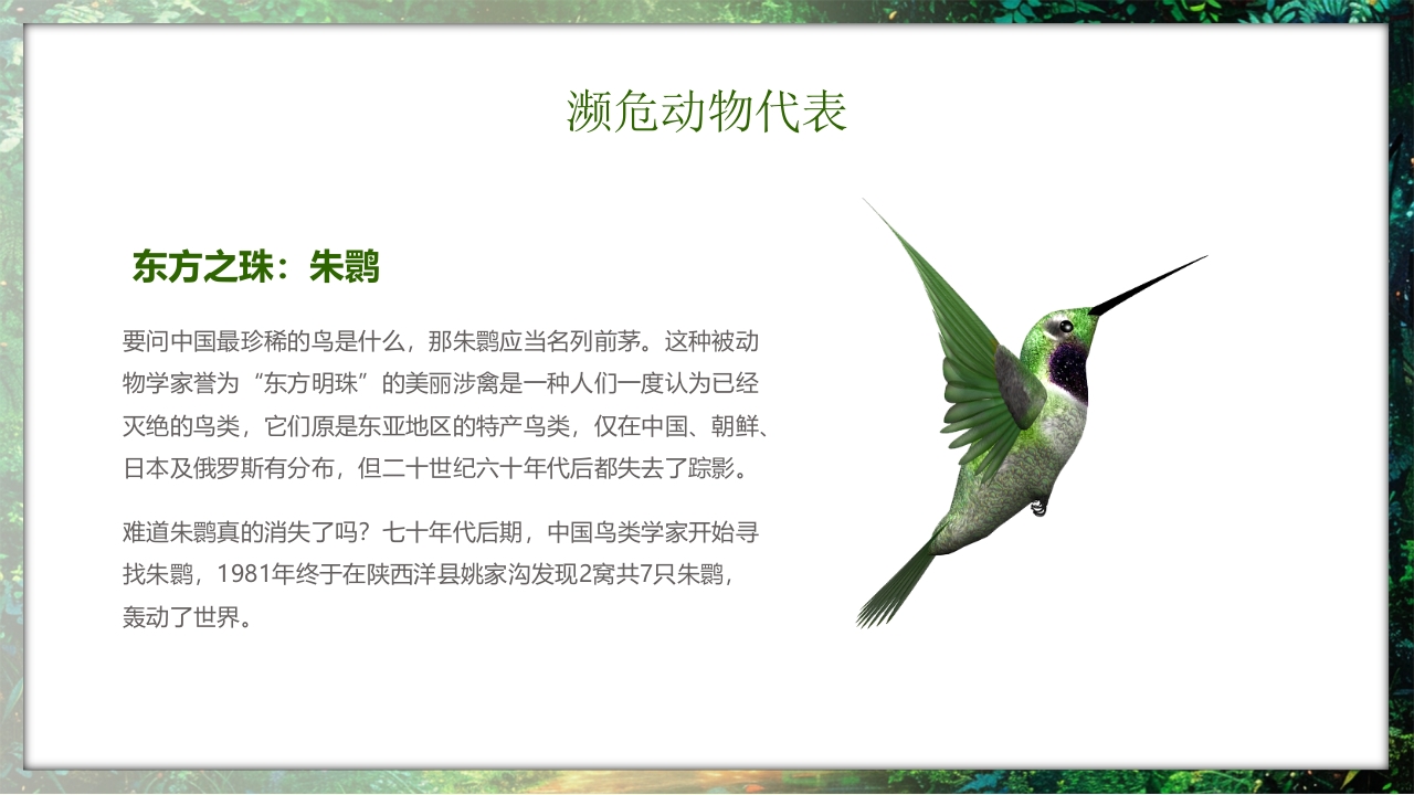 保护野生动物守护美丽家园PPT课件23