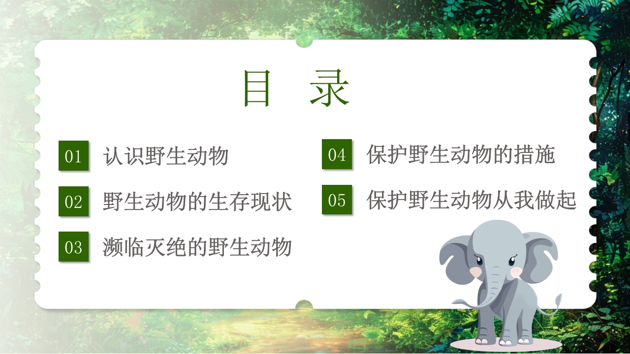 保护野生动物守护美丽家园PPT课件2