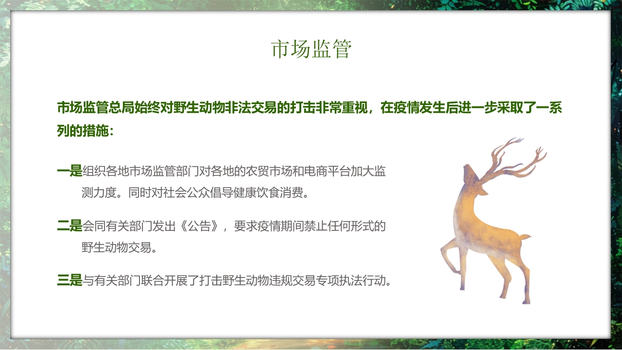 保护野生动物守护美丽家园PPT课件32