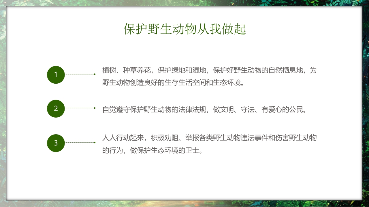 保护野生动物守护美丽家园PPT课件35