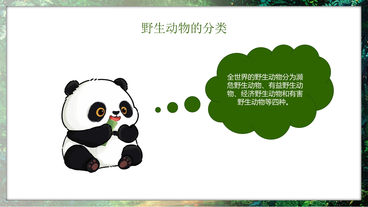 保护野生动物守护美丽家园PPT课件5