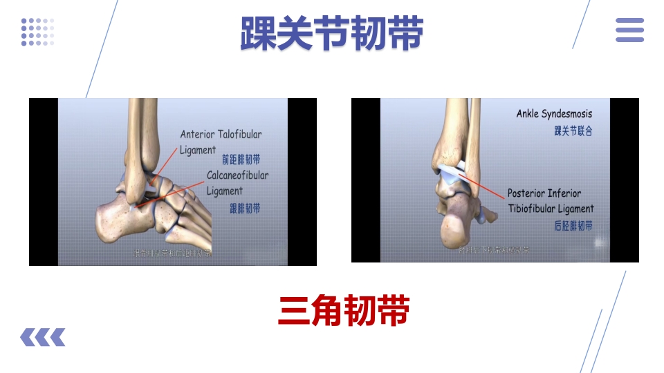 1例左三踝骨折患者的护理查房PPT课件6