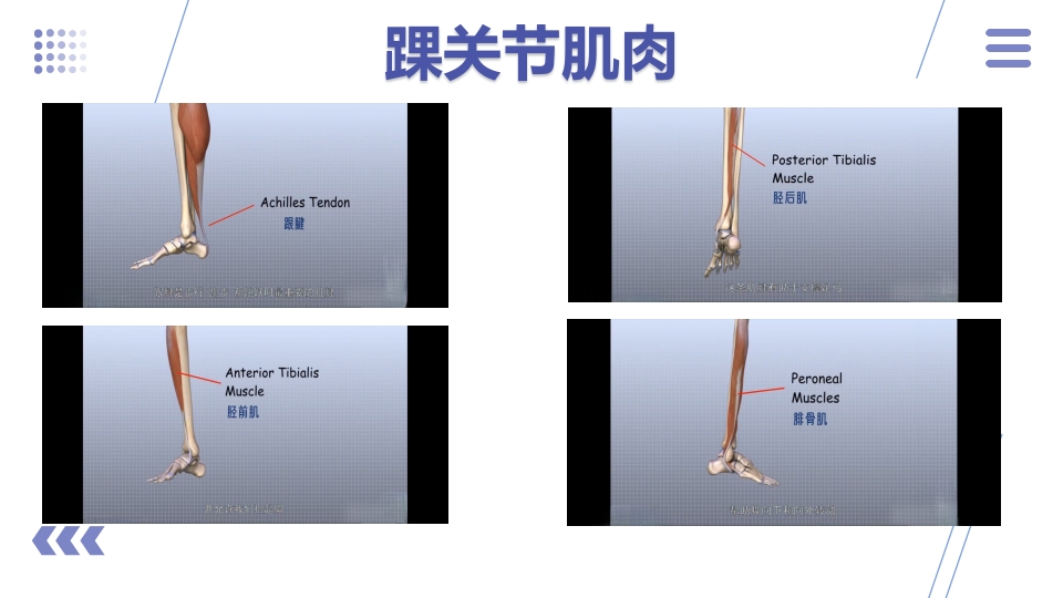 1例左三踝骨折患者的护理查房PPT课件7