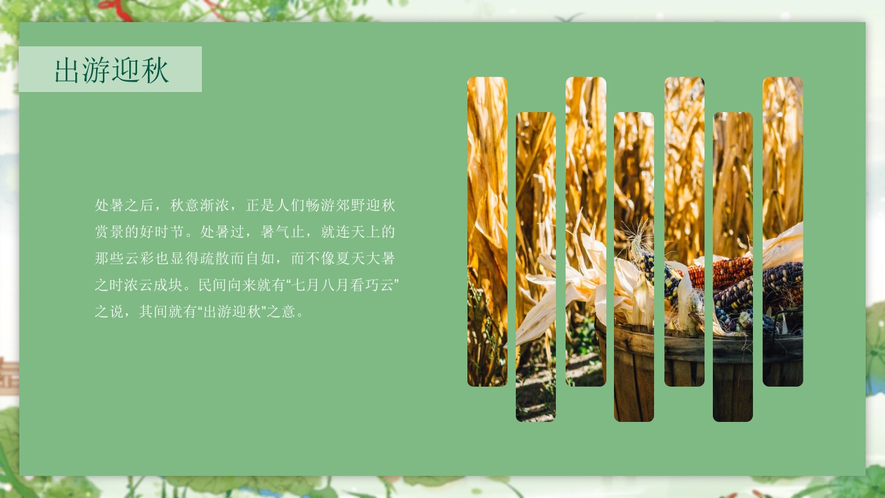 处暑节气介绍PPT课件15