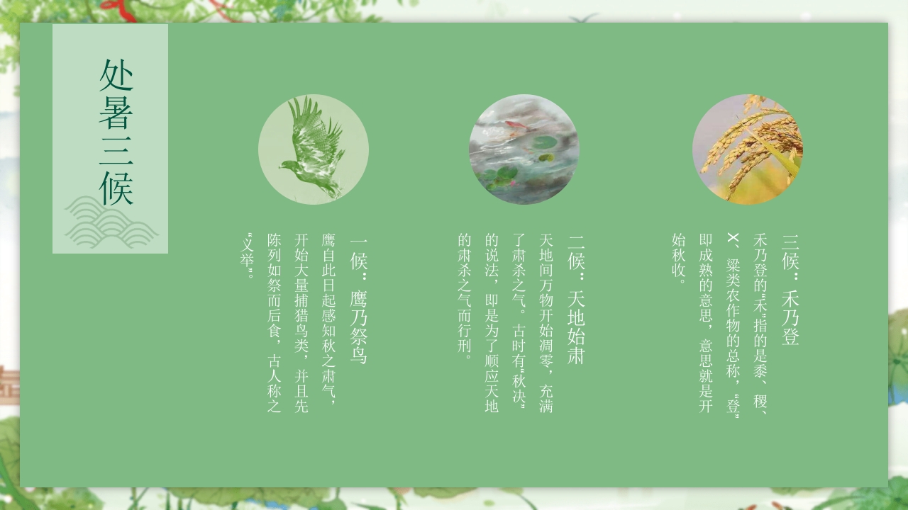 处暑节气介绍PPT课件7