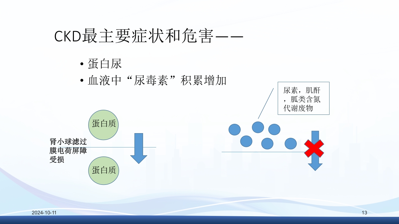 慢性肾病与复方α-酮酸片(科罗迪)PPT课件13