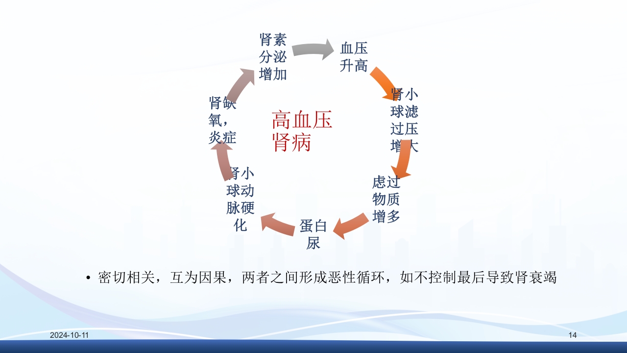 慢性肾病与复方α-酮酸片(科罗迪)PPT课件14