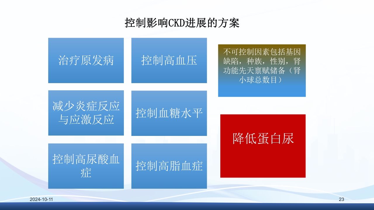 慢性肾病与复方α-酮酸片(科罗迪)PPT课件23