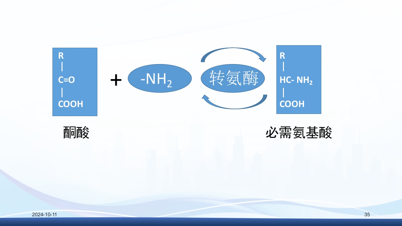 慢性肾病与复方α-酮酸片(科罗迪)PPT课件35