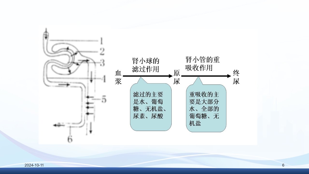 慢性肾病与复方α-酮酸片(科罗迪)PPT课件6