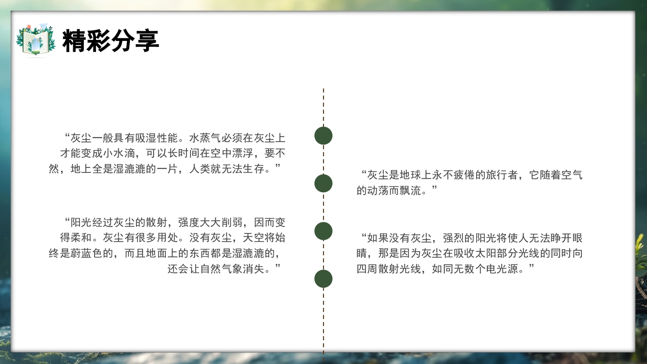 好书推荐灰尘的旅行读书分享PPT课件11