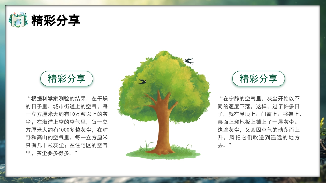 好书推荐灰尘的旅行读书分享PPT课件14